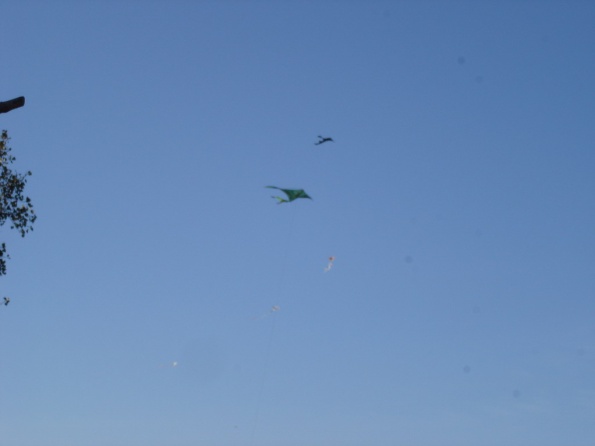 DSC03083