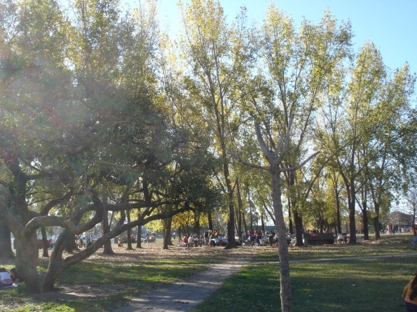 DSC03086