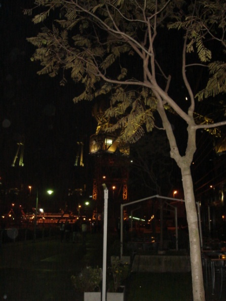 DSC01484