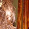 DSC04530