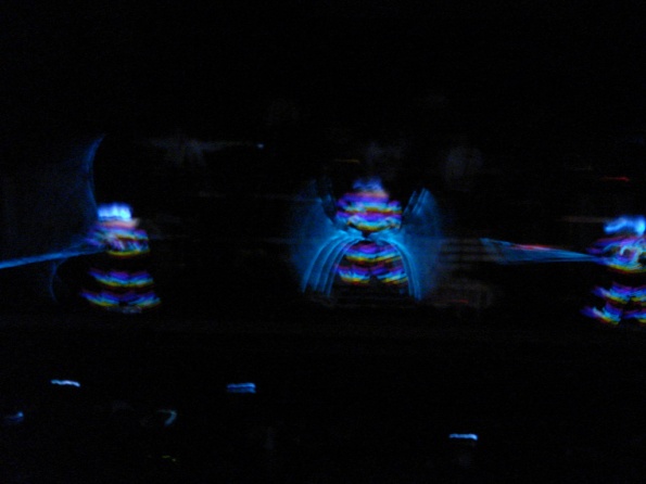 DSC00429