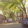 DSC00744