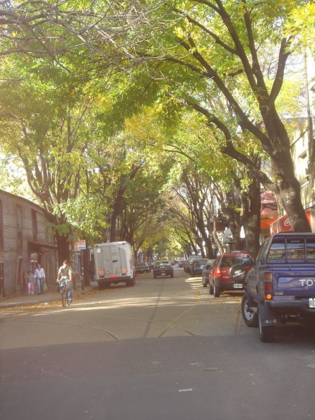 DSC00744