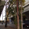 DSC03935