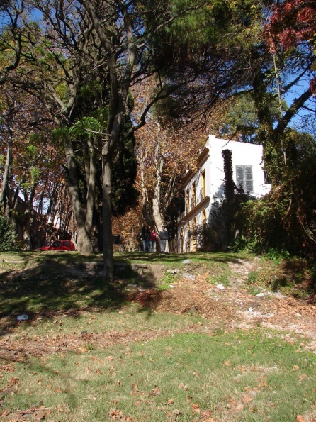 DSC04168