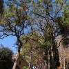 DSC04169