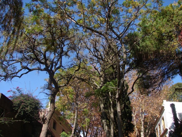 DSC04169