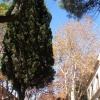 DSC04170