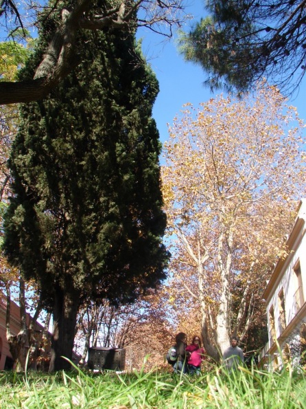 DSC04170