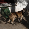 DSC04180