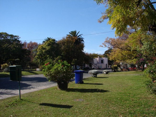 DSC04184