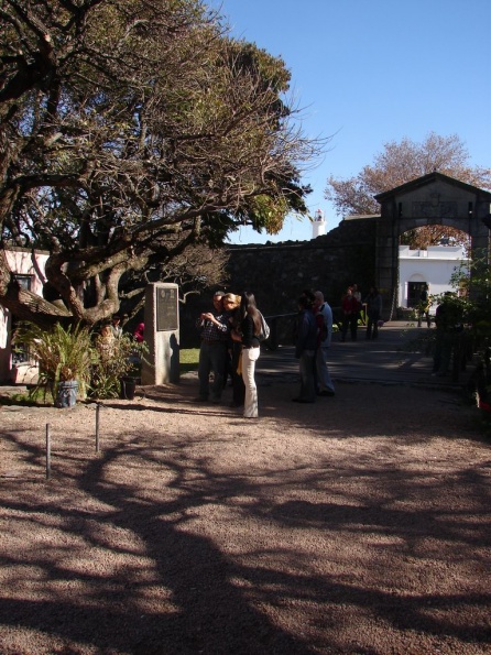 DSC04190