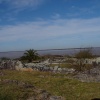 DSC04194