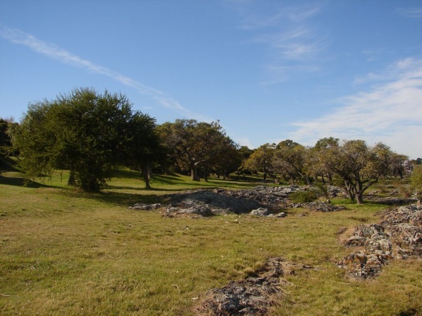 DSC04199