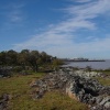 DSC04200