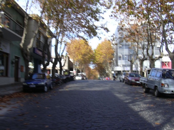 DSCN0048