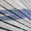 DSCN0079