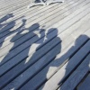 DSCN0082