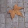 DSCN0084