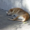 DSCN0094