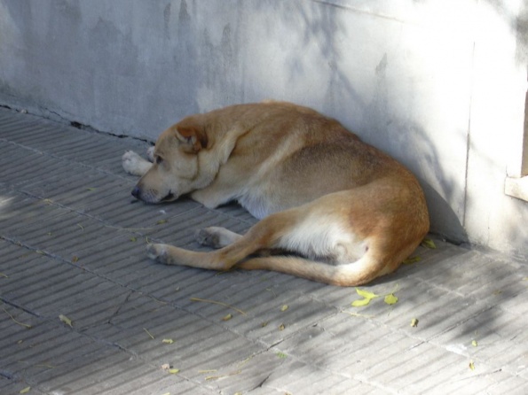 DSCN0094