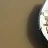 DSCN2353