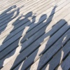 DSCN2359