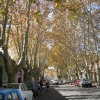 DSCN2362