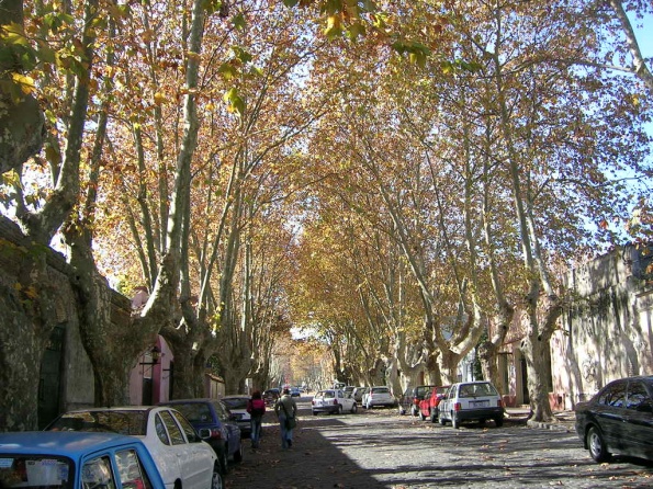 DSCN2362