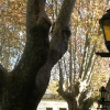 DSCN2367