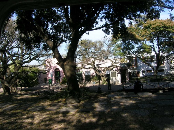 DSCN2373