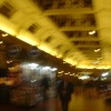 Trip Fonseca 036