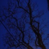 Trip Fonseca 042