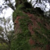 IMG_3309