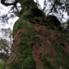 IMG_3310
