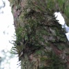 IMG_3314