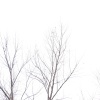 IMG_3323