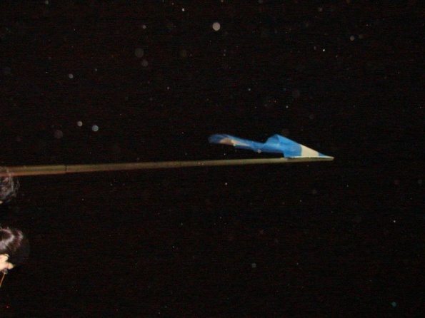 DSC03887