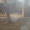 DSC01060