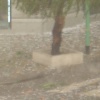 DSC01062