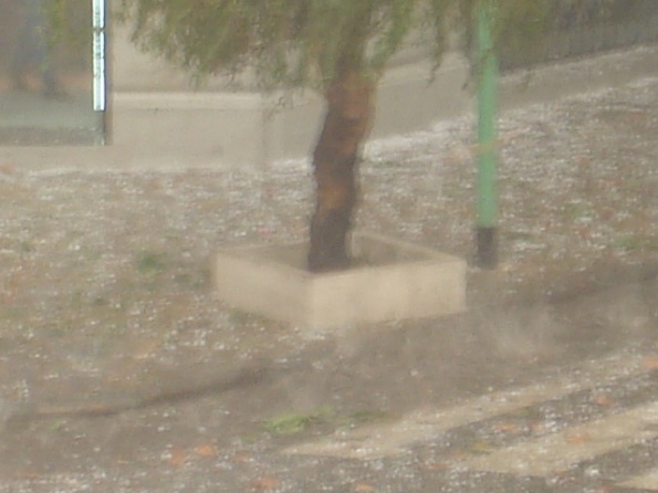 DSC01062