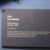 DSC04702