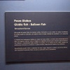 DSC04710