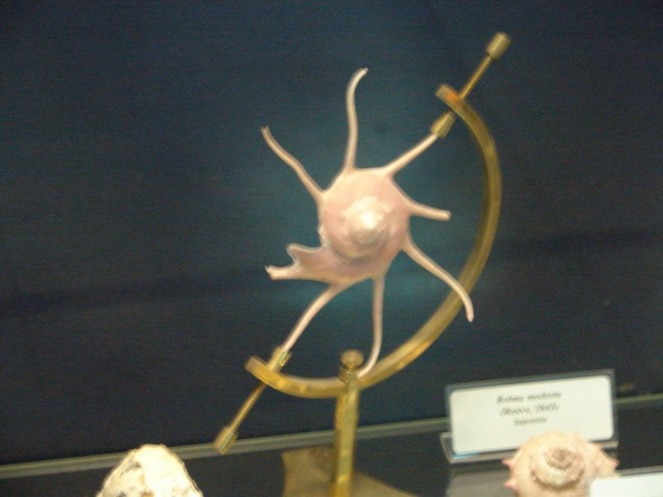 DSC04727