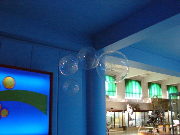 DSC04733