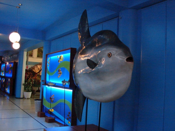 DSC04744
