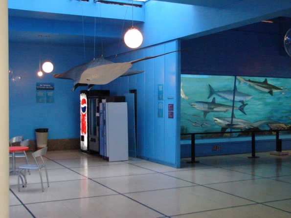 DSC04746