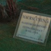 DSC04750