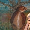 DSC04756