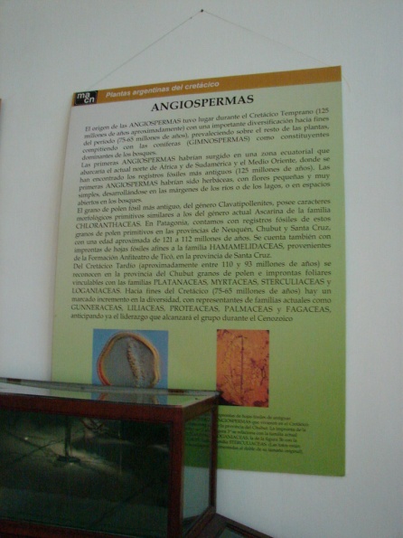 DSC04761